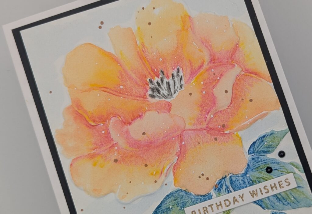 Beginner Watercolor!